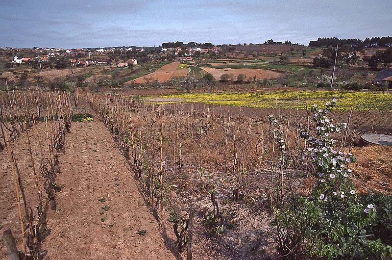 WT 2200 304-13 Portugal.jpg